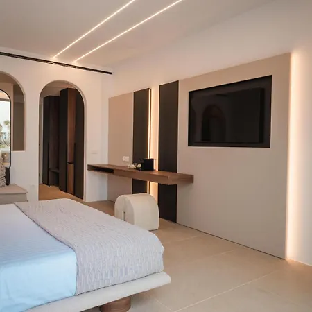 Muse Of Mykonos Luxury Hotel Plintri