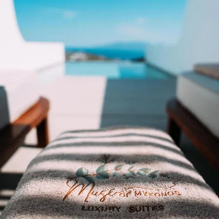 Muse Of Mykonos Luxury Hotel Plintri