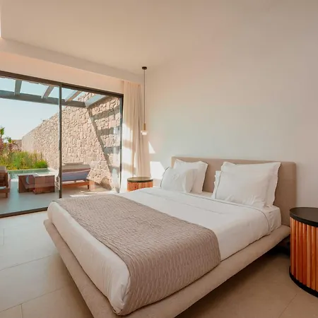 Muse οf Mykonos Luxury Otel Plintri
