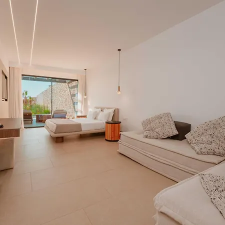 Otel Muse οf Mykonos Luxury Plintri