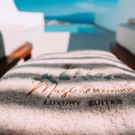 Muse Of Mykonos Luxury Hotel