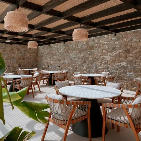 Hotel Muse Of Mykonos Luxury *