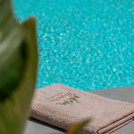 Muse οf Mykonos Luxury Plintri