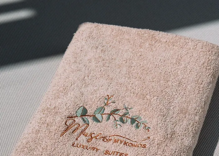 Muse οf Mykonos Luxury Hotel *